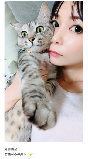 中川翔子 免許証 本名 運転 初心者 しようこ