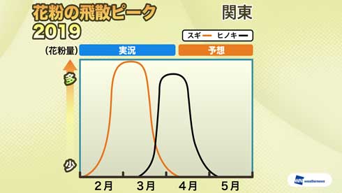 花粉飛散傾向 ウェザーニューズ スギ ヒノキ 花粉 ピーク