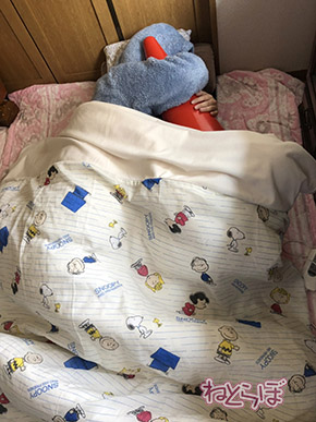 やしろあずき カラーコーン