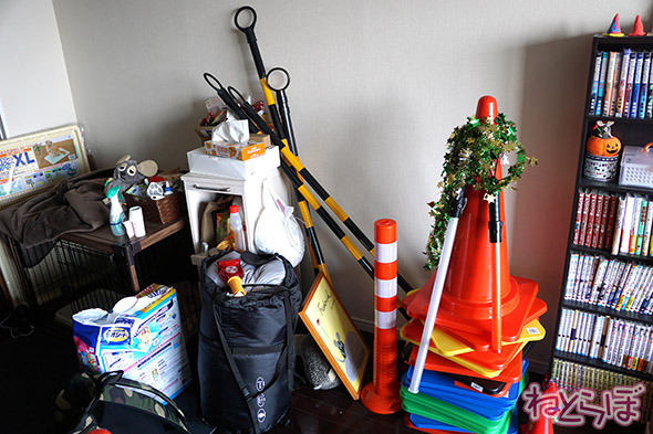 やしろあずき カラーコーン