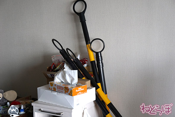 やしろあずき カラーコーン