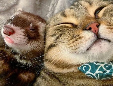 ティノくんとぷくくん