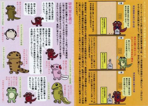 同人誌 本棚 図書館 司書 コミケ イモリ 理学部