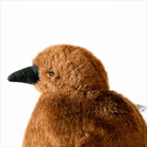 オウサマペンギンぬいぐるみ