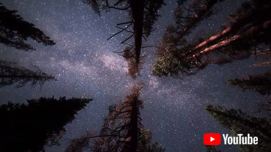 Audi AI:ME アウディ 自動運転車