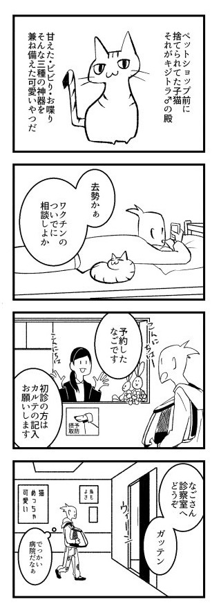 動物病院の先生