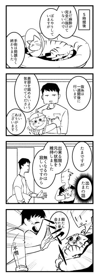 動物病院の先生