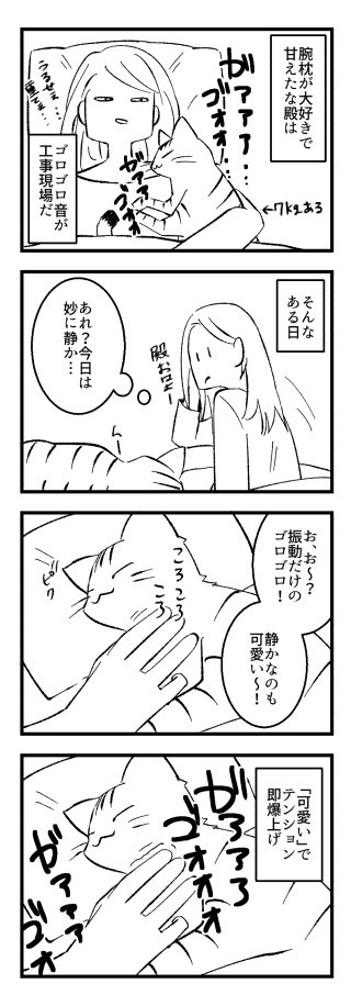 動物病院の先生