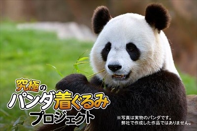 パンダ着ぐるみ