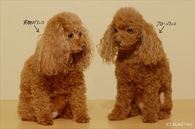 パンダ着ぐるみ