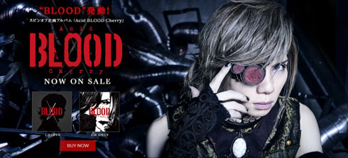 JanneDaArc yasu 解散 バンド