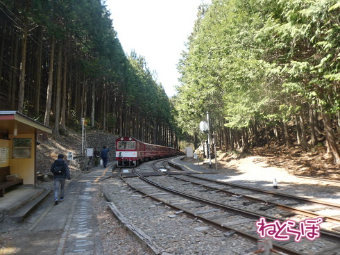 乗り鉄 大井川鐵道井川線