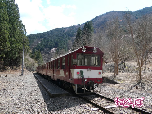 乗り鉄 大井川鐵道井川線