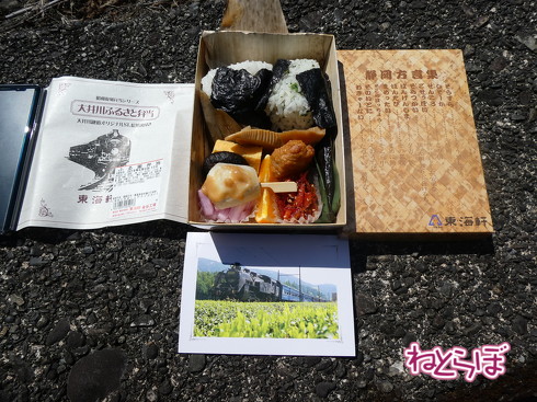 乗り鉄 大井川鐵道井川線