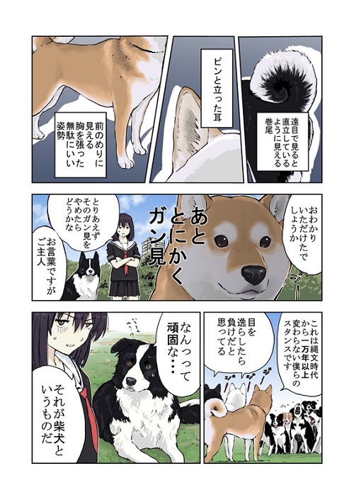 世界の終わりに柴犬と 誤解についての話 その3