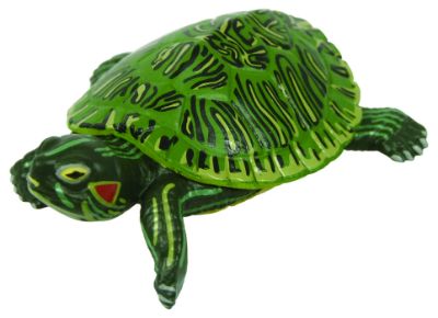 原色爬虫類カメ目図鑑