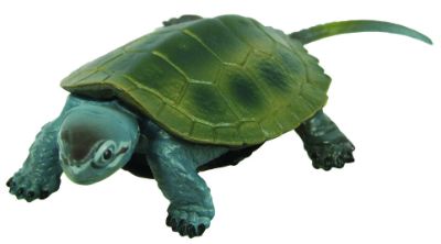 原色爬虫類カメ目図鑑