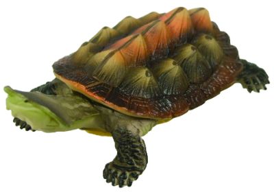 原色爬虫類カメ目図鑑