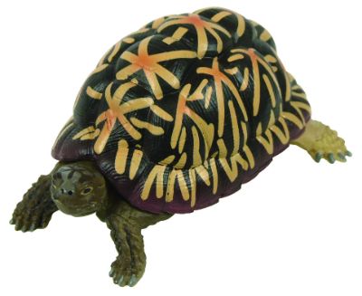 原色爬虫類カメ目図鑑