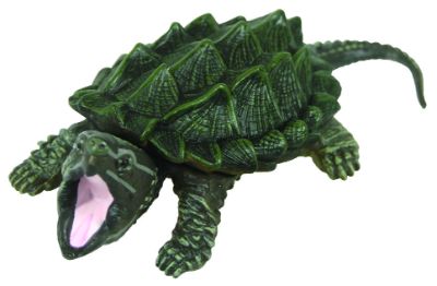 原色爬虫類カメ目図鑑