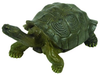 原色爬虫類カメ目図鑑