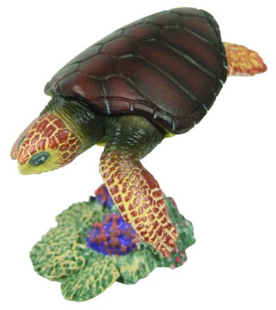 原色爬虫類カメ目図鑑