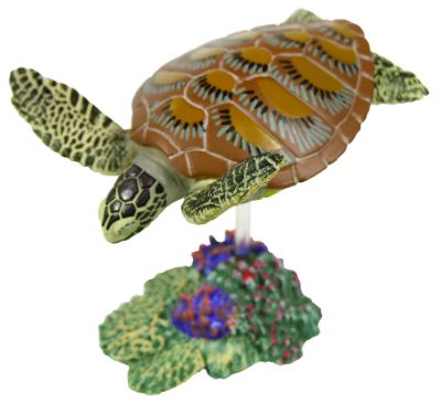 原色爬虫類カメ目図鑑