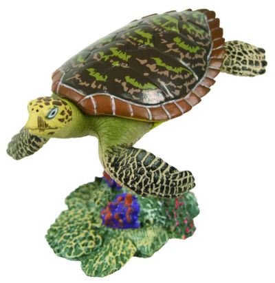 原色爬虫類カメ目図鑑