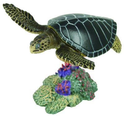 原色爬虫類カメ目図鑑