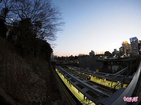 パパとママのためのプラレール構築術