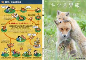 マッスルギツネ 狐 蔵王キツネ村 ムキムキ 腕 筋肉