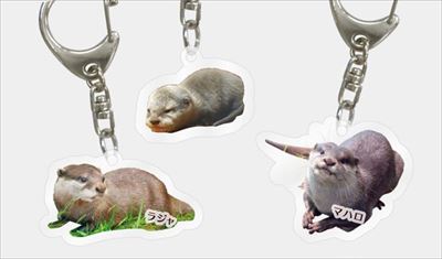 サンシャイン水族館　カワウソの日