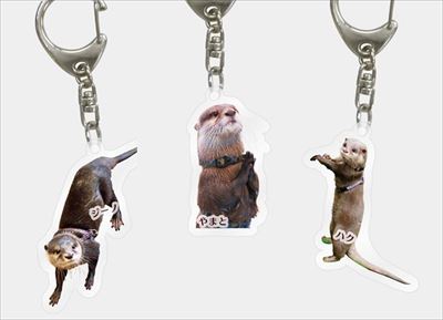 サンシャイン水族館　カワウソの日