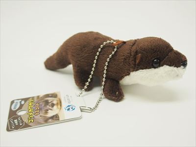 サンシャイン水族館　カワウソの日