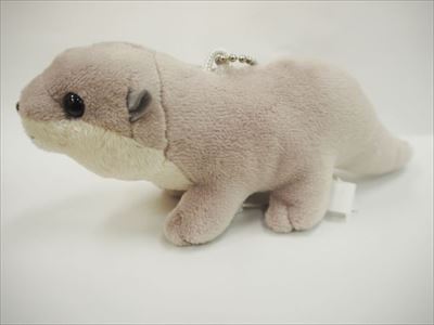 サンシャイン水族館　カワウソの日