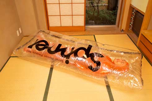 入（はい）れる TENGA 寝袋 プレゼント テンガ スピナー 限定ソフトエディション