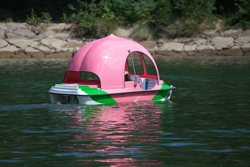 岡山 桃太郎 桃