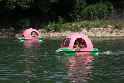 岡山 桃太郎 桃