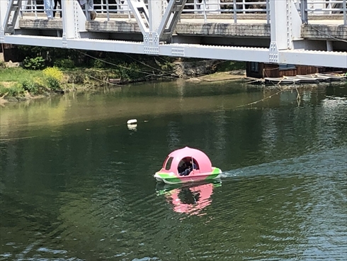 岡山 桃太郎 桃