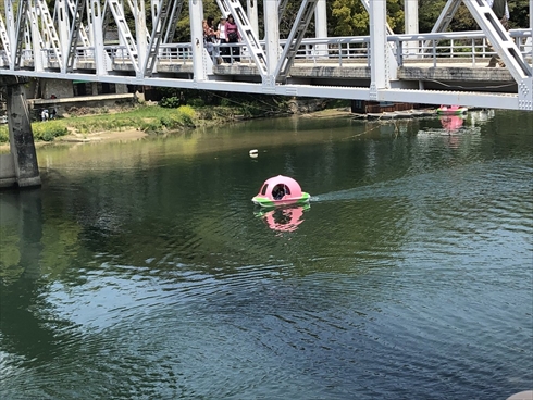 岡山 桃太郎 桃