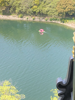 岡山 桃太郎 桃