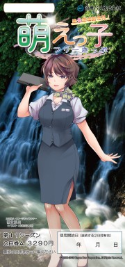 沿岸バス 萌えっ子フリーきっぷ