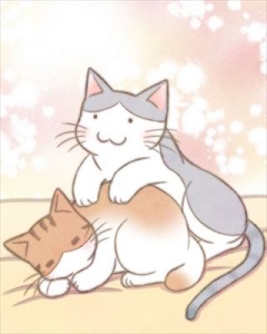 猫