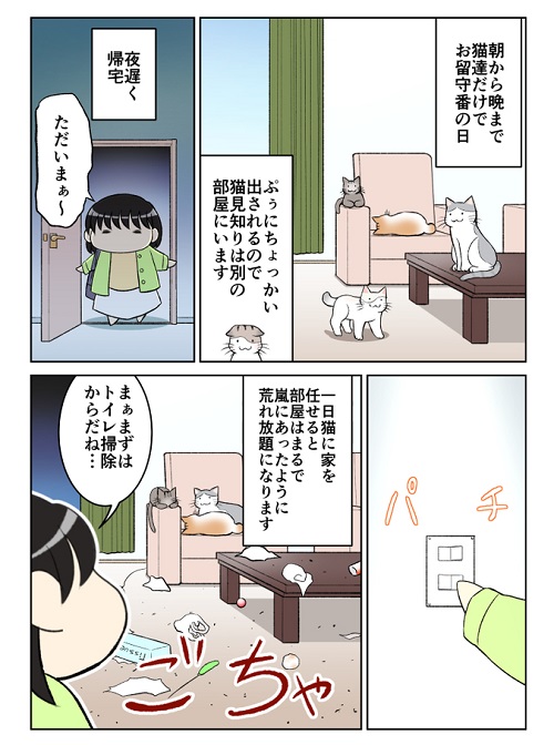 猫