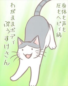 猫