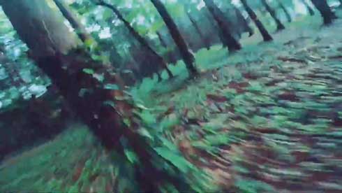 時速100キロ 森の中 ドローン 映像 スターフォーズ