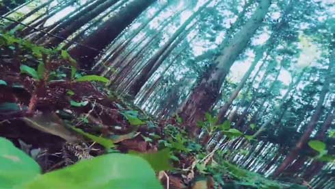 時速100キロ 森の中 ドローン 映像 スターフォーズ