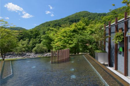 虫との和解ツアー