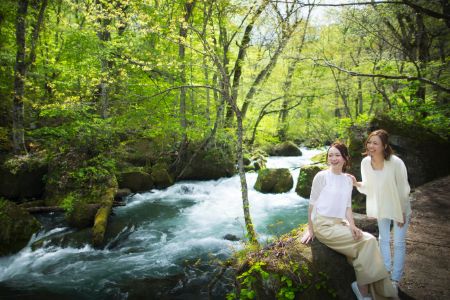 虫との和解ツアー