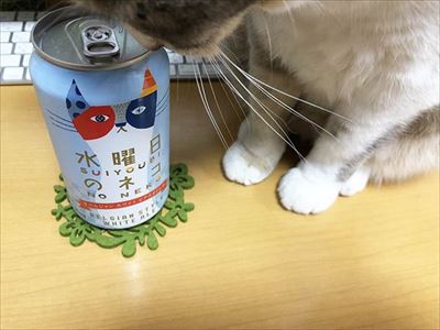 「ヤヴァイ」と鳴く猫ちゃん